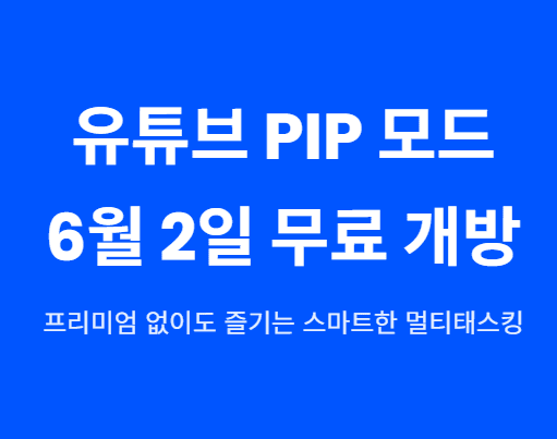유튜브 PIP